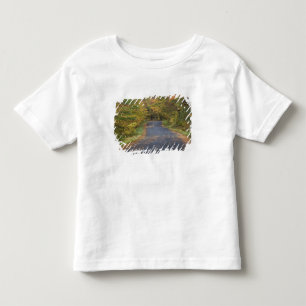 Roadside fall foliage, Southern Vermont, USA Toddler T-Shirt