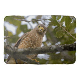 Roadside Hawk Belise Bird Photography Bath Mat