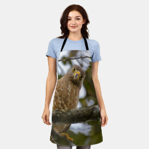 Roadside Hawk, Staring Bird Apron