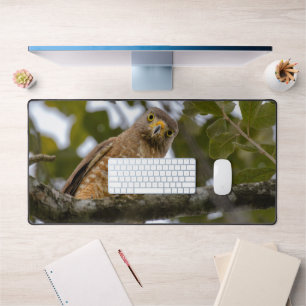 Roadside Hawk, Wildlife Avian Photography Desk Mat