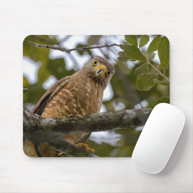 Roadside Hawk, Wildlife Avian Photography Mouse Mat (With Mouse)
