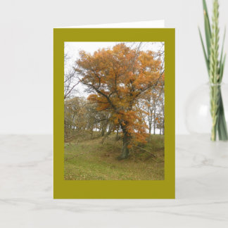 Roadside Oak Tree in Autumn on Blank Note Card