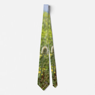 roadside thistle guarding the horizon tie