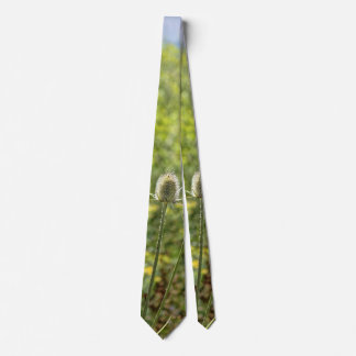 roadside thistle guarding the horizon tie