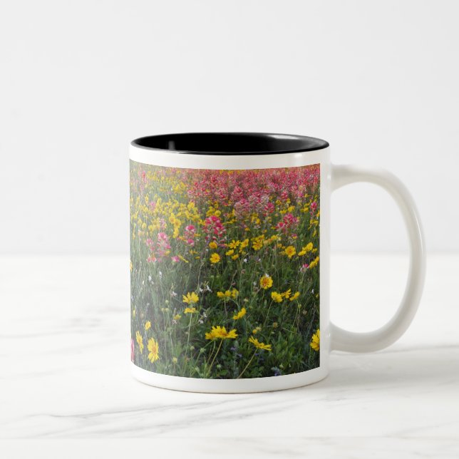 Roadside wildflowers in Texas, spring 3 Two-Tone Coffee Mug (Right)