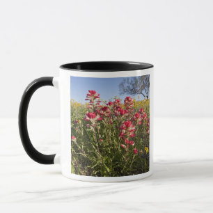 Roadside wildflowers in Texas, spring 4 Mug