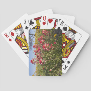 Roadside wildflowers in Texas, spring 4 Playing Cards