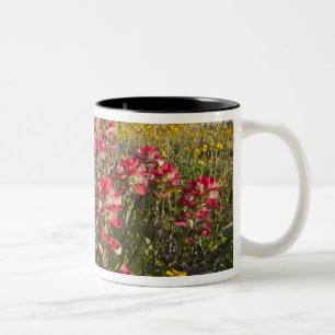 Roadside wildflowers in Texas, spring 4 Two-Tone Coffee Mug