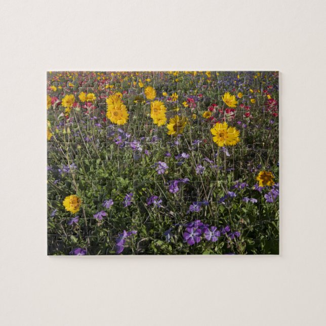 Roadside wildflowers in Texas, spring Jigsaw Puzzle (Horizontal)