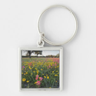 Roadside wildflowers in Texas, spring Key Ring