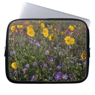 Roadside wildflowers in Texas, spring Laptop Sleeve