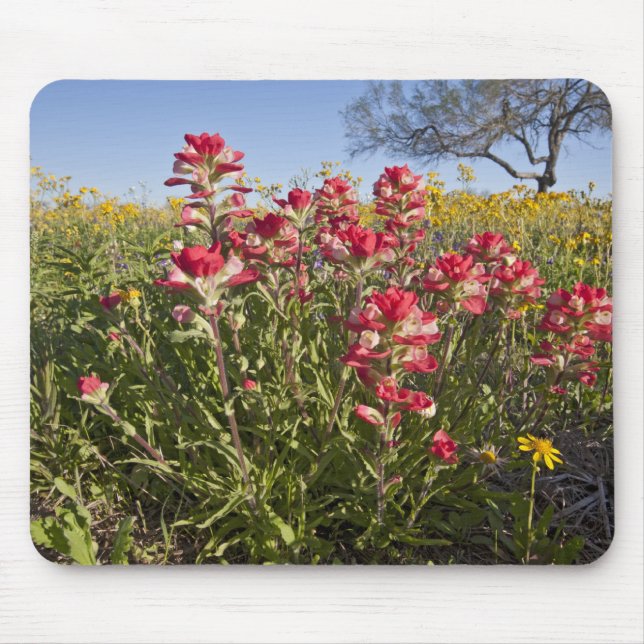 Roadside wildflowers in Texas, spring Mouse Mat (Front)