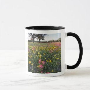 Roadside wildflowers in Texas, spring Mug
