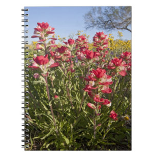 Roadside wildflowers in Texas, spring Notebook