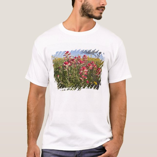 Roadside wildflowers in Texas, spring T-Shirt (Front)