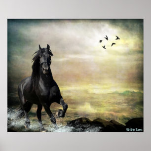 Roam the Tide Poster