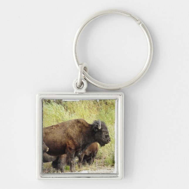 Roaming Buffalo  Keychain (Front)