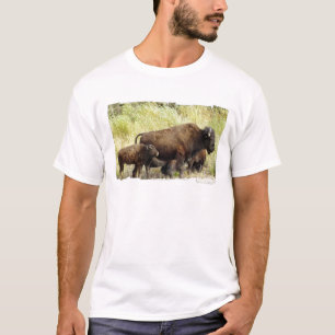 Roaming Buffalo  Men's T-Shirt