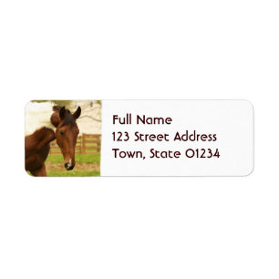 Roaming Paint Horse Mailing Labels