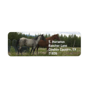 Roan and Appaloosa Address Labels