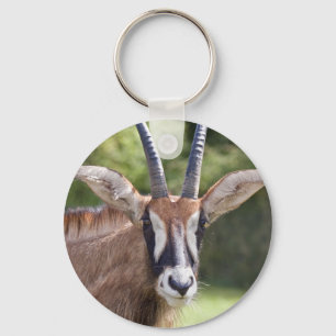 Roan Antelope Keyring