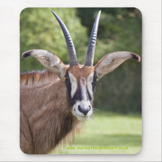 Roan Antelope Mousemat