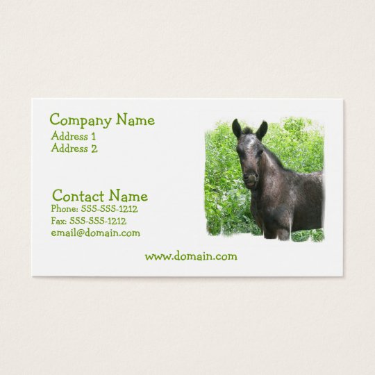 Roan Colt Business Card