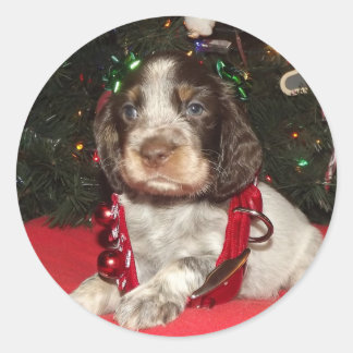 Roan English Springer Spaniel Christmas Puppy Classic Round Sticker