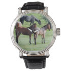 Roan Foals Watch