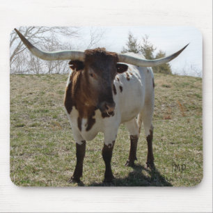 Roan Longhorn Steer- personalise if desired Mouse Mat