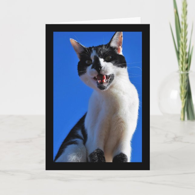 Roar of the Domestic Cat Card (Front)
