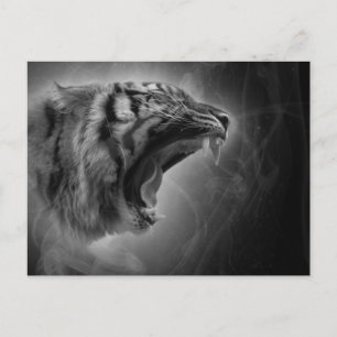 Roar of the Tiger Spirit Black and White Postcard