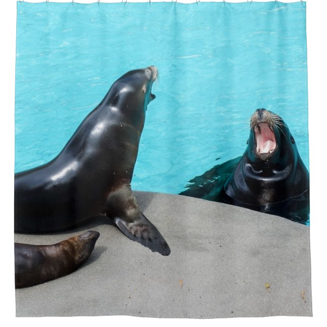 Roar-roaring sea lions in turquoise water shower curtain (Front)