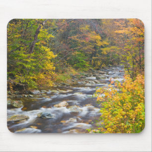 Roaring Brook in fall in Vermont's Green 2 Mouse Mat