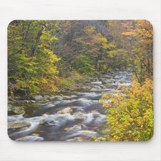 Roaring Brook in fall in Vermont's Green 2 Mouse Mat (Front)