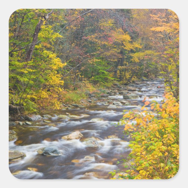 Roaring Brook in fall in Vermont's Green 2 Square Sticker (Front)