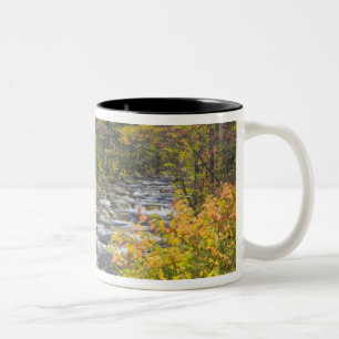 Roaring Brook in fall in Vermont's Green 2 Two-Tone Coffee Mug