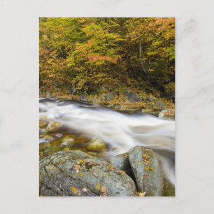 Roaring Brook in fall in Vermont's Green Postcard