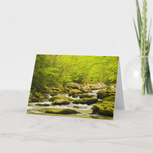 Roaring Fork in Spring Card