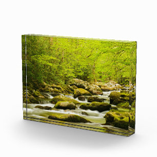 Roaring Fork in Spring Photo Block