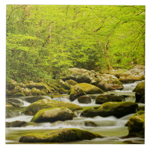 Roaring Fork in Spring Tile