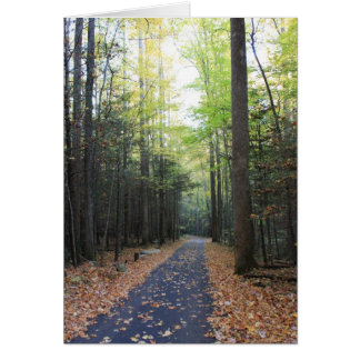 Roaring Fork in the Fall