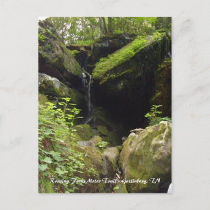 Roaring Forks Motor Trail - Gatlinburg, TN Postcard