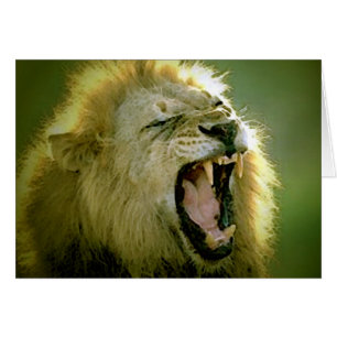 Roaring Lion