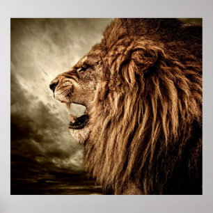 Roaring Lion: Majestic Vintage Art. Poster