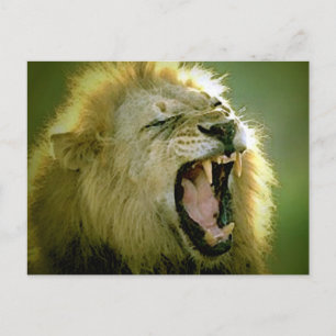 Roaring Lion Postcard