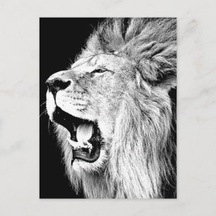 Roaring Lion Postcard