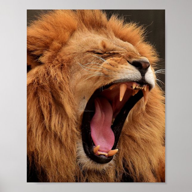 ROARING LION POSTER (Front)
