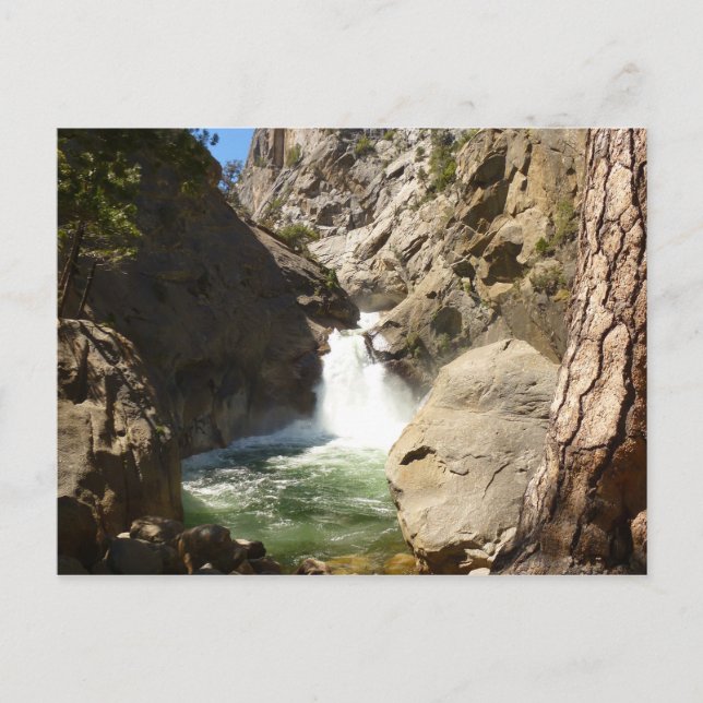 Roaring River Falls at Kings Canyon National Park Postcard (Front)