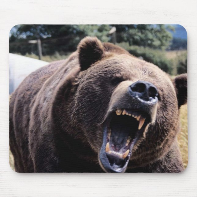 Roaring Teddy Bear Mouse Mat (Front)